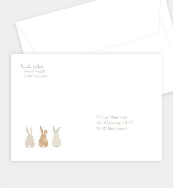 Cottontail