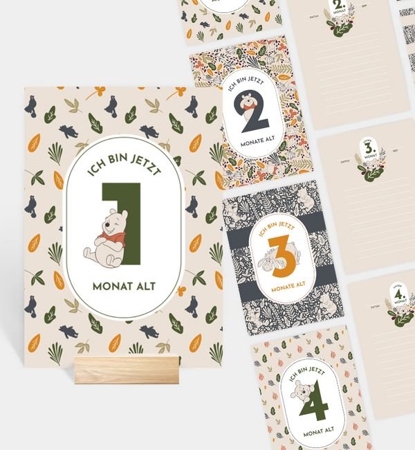 13er Set Meilensteinkarten