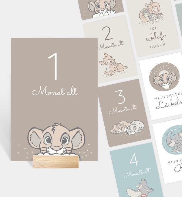 König der Löwen · Cosy Times