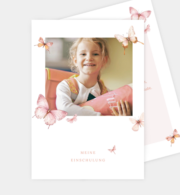 Schmetterlingsmomente