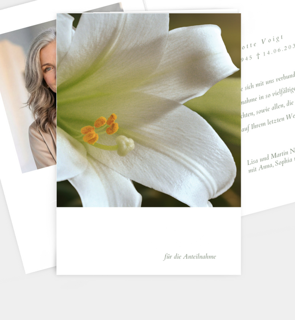 White Lily