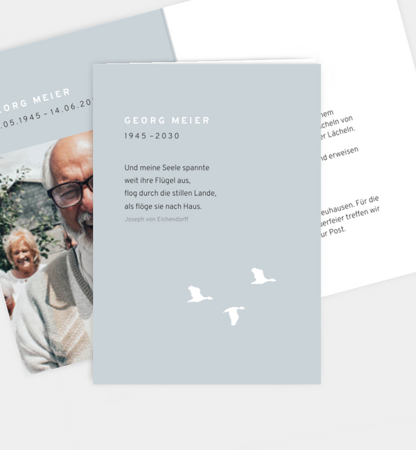 Letzter Flügelschlag · UNICEF