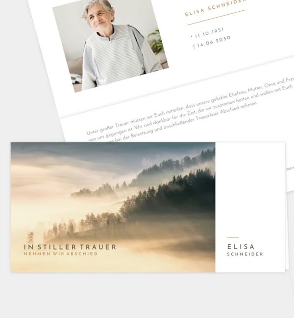 Abendhimmel · Waldnebel