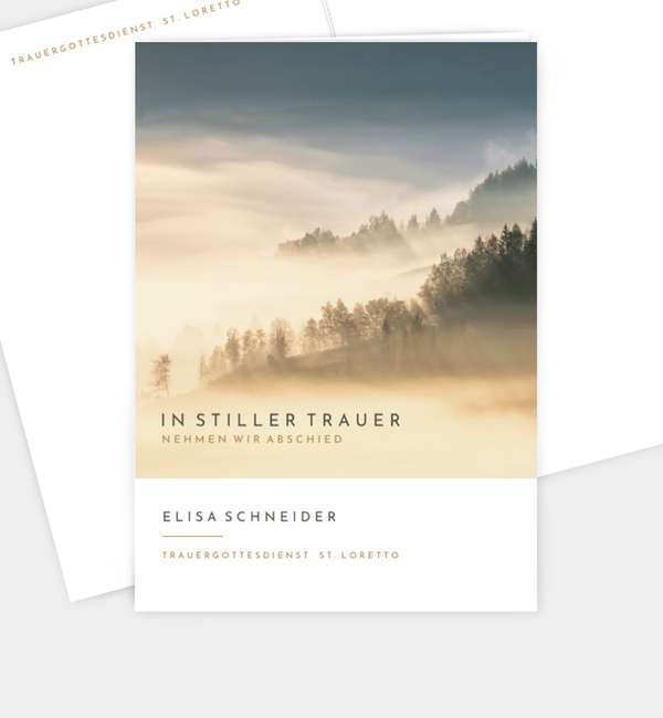Abendhimmel · Waldnebel