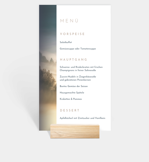 Sanfter Ausblick · Waldnebel