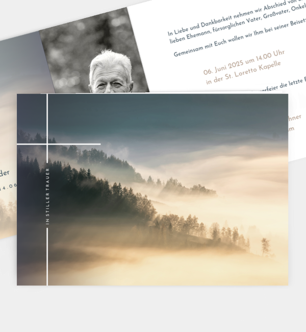 Sanfter Ausblick · Waldnebel