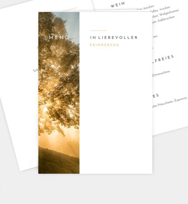 Abendhimmel · Waldnebel