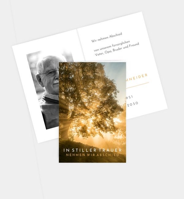 Abendhimmel · Waldnebel