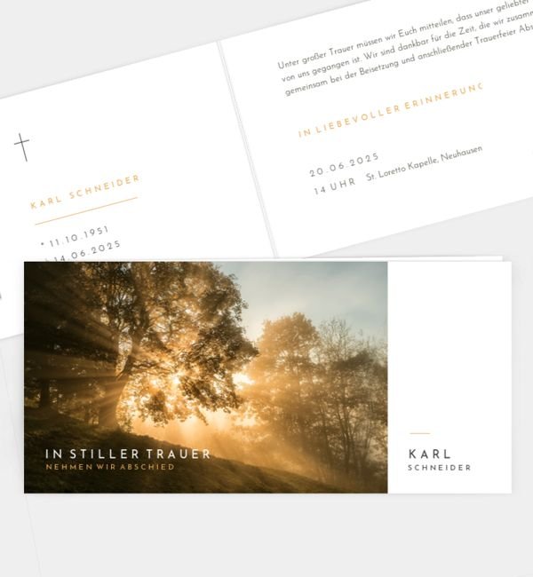 Abendhimmel · Waldnebel