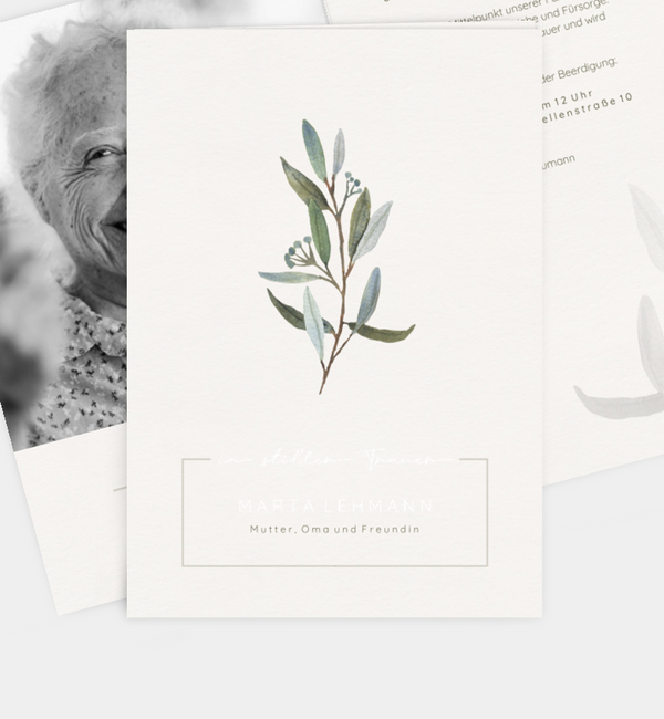 Olive branch