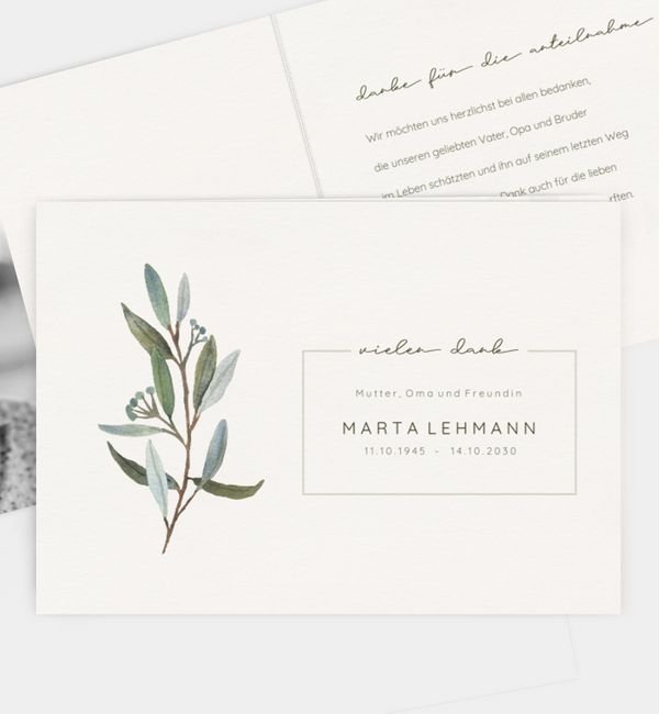 Olive branch