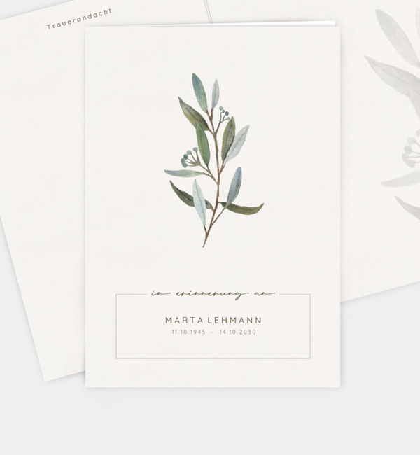Olive branch