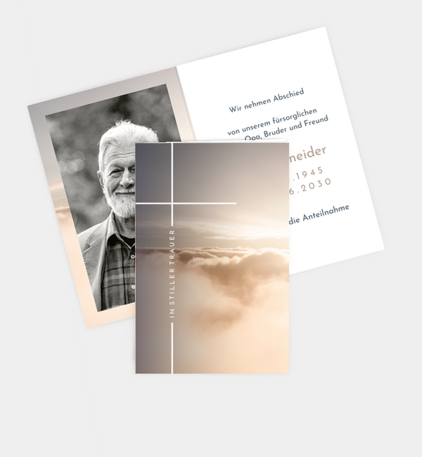 Sanfter Ausblick · Waldnebel