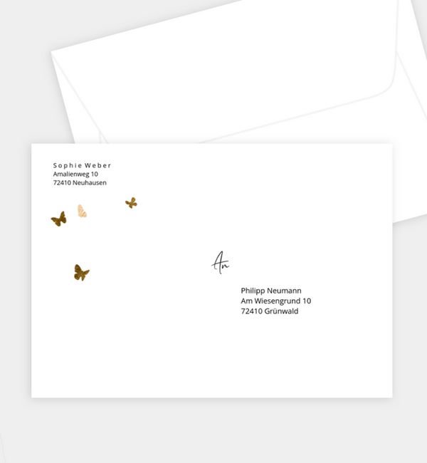 Butterfly