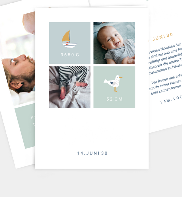 Kleine Möwe
