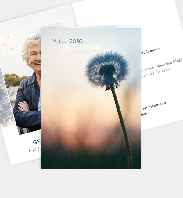Pusteblume