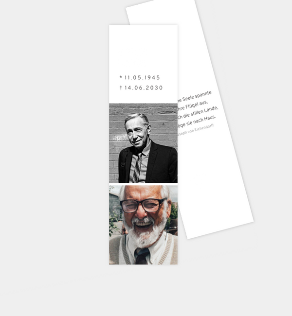 Letzter Flügelschlag