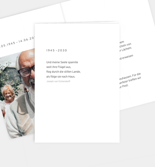 Letzter Flügelschlag