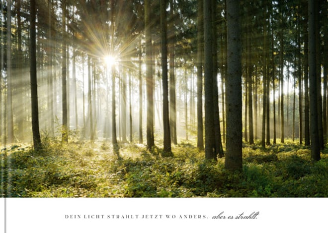 Fotobuch Waldfrieden