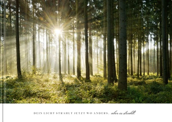 Fotobuch Waldfrieden