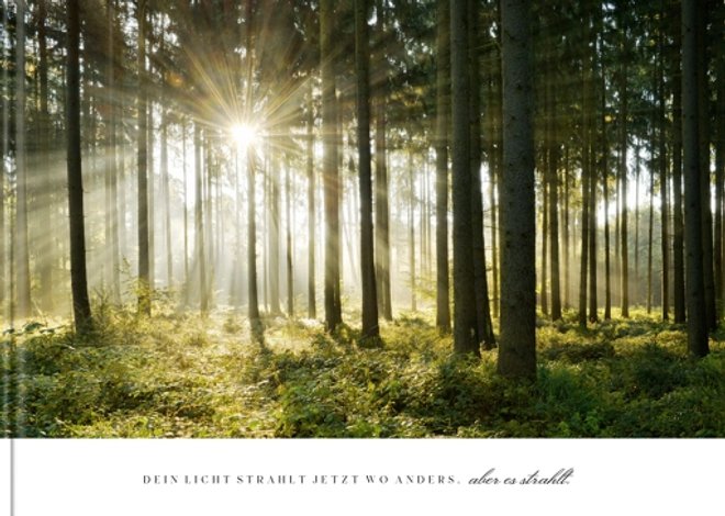 Fotobuch Waldfrieden