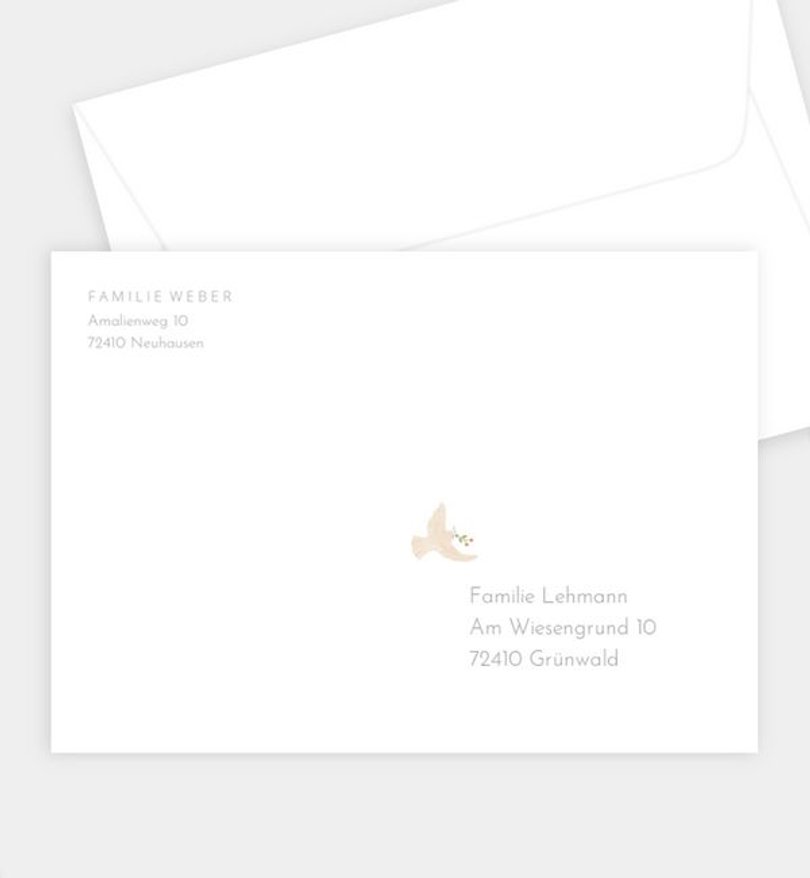 Briefumschlag Babyshower Bird & Branch