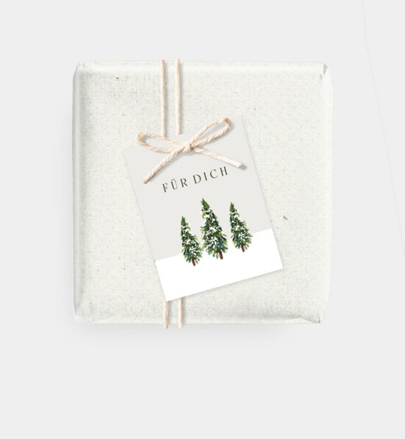 Geschenkanhänger Weihnachten Geschäftlich Schlitten