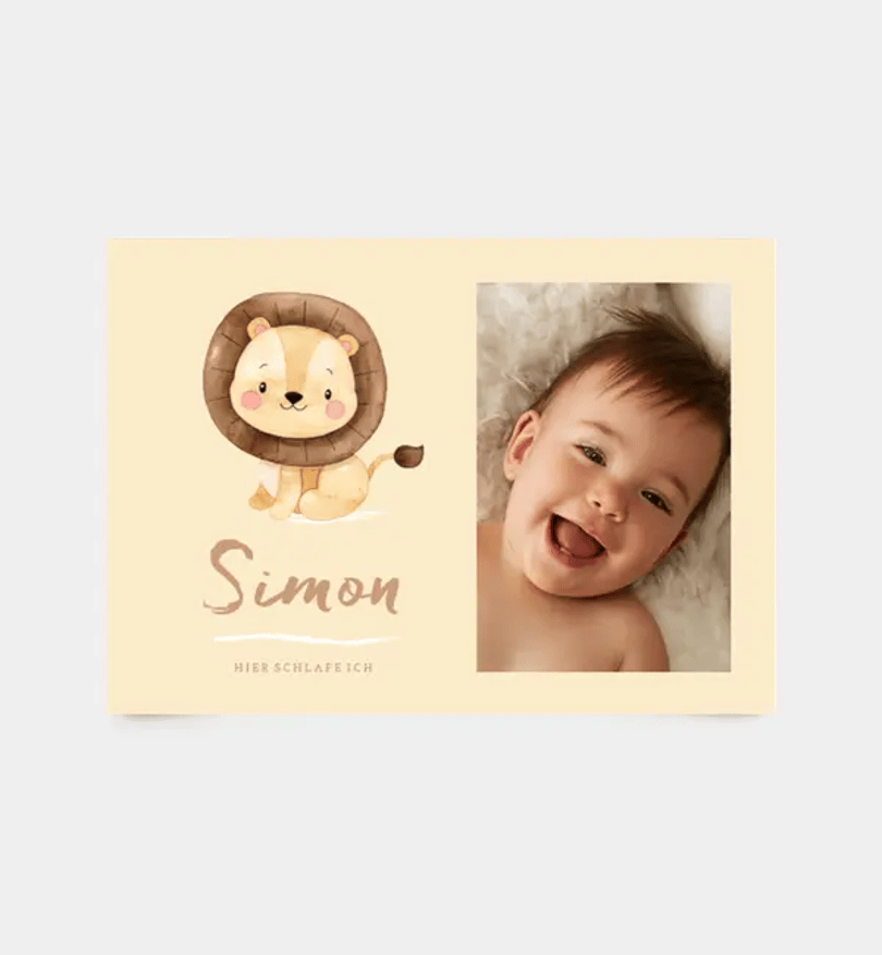 Little Lion