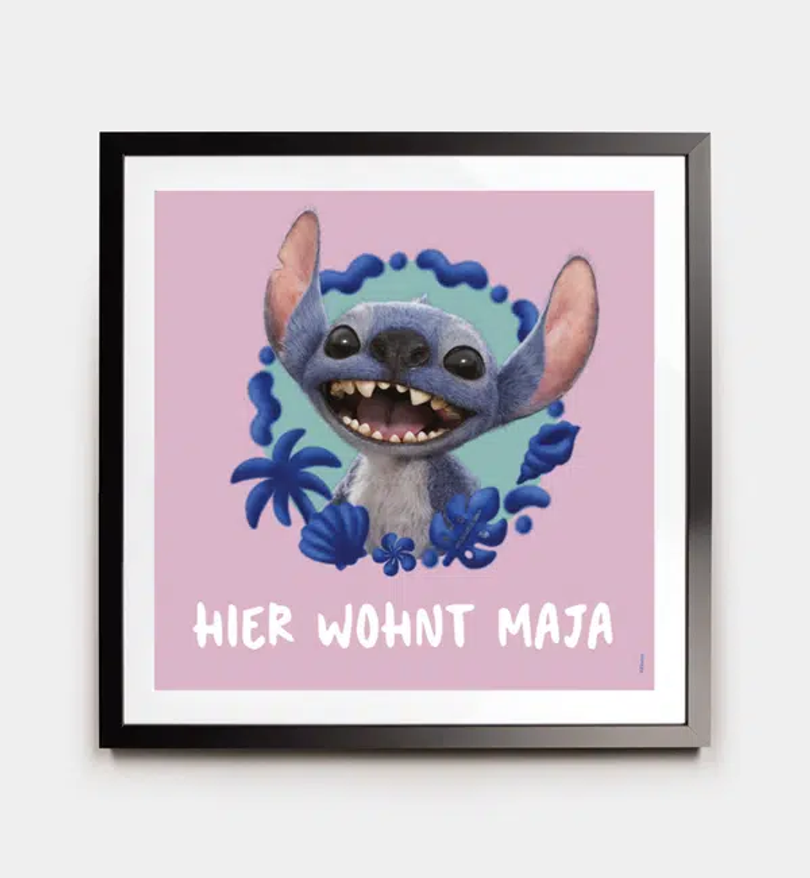 Stitch · Furry Friend