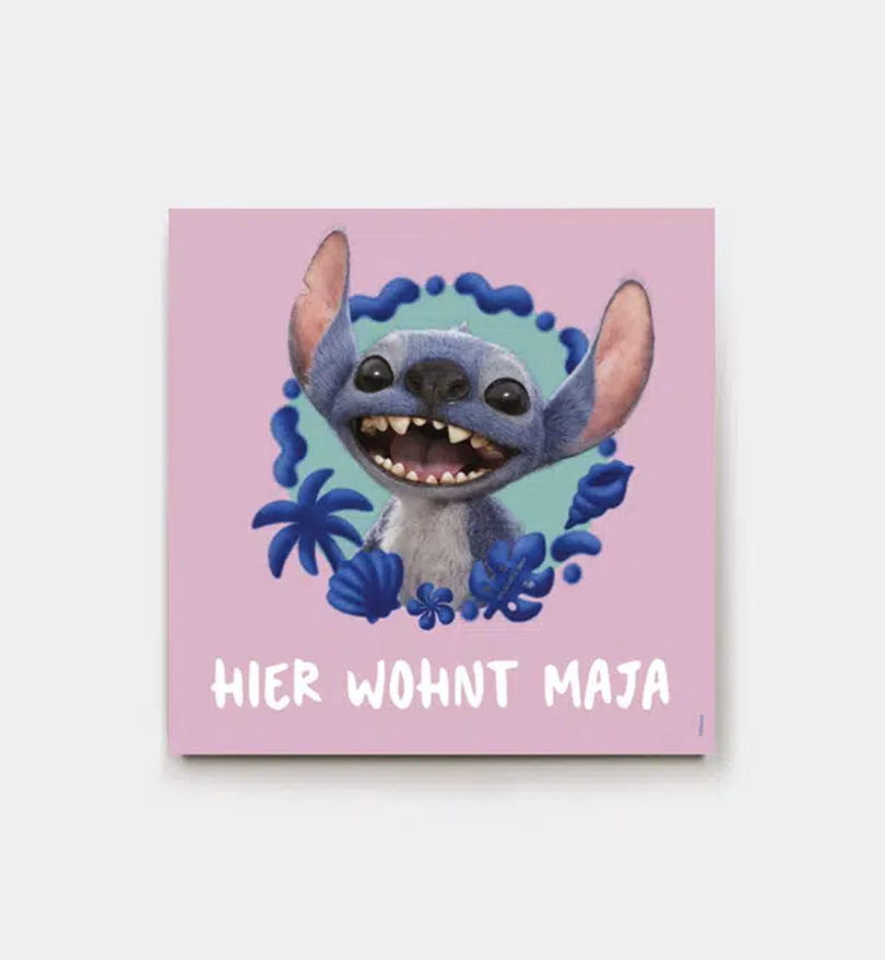 Stitch · Furry Friend