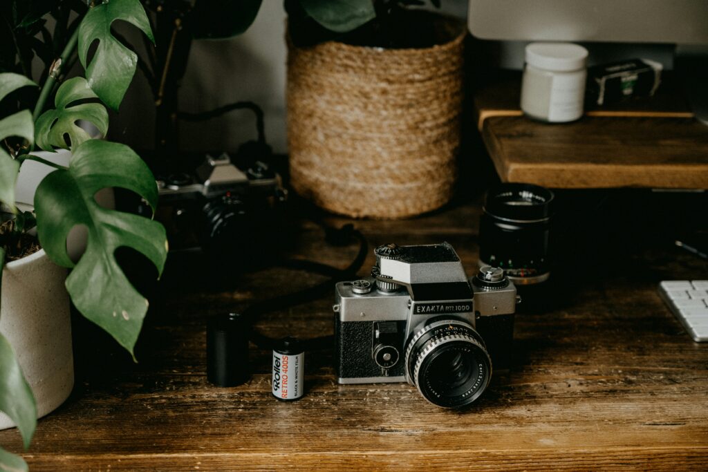 copyright: Unsplash/Annie Spratt