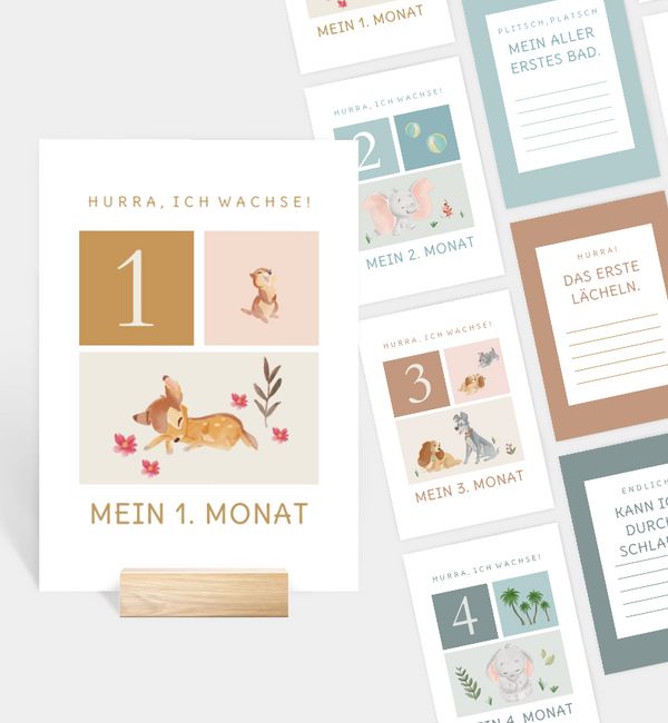 Meilensteinkarten im Design 